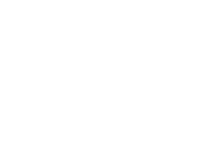 Fåfängan