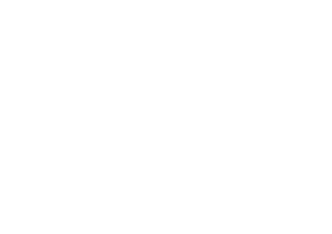 Zynca